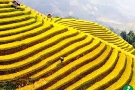HA NOI – SA PA – HA LONG –SUN WORLD PARK – 5D4N