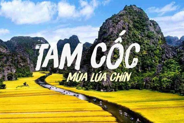 Ninh binh 9