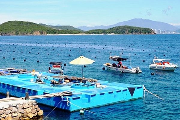 Phu quoc 8